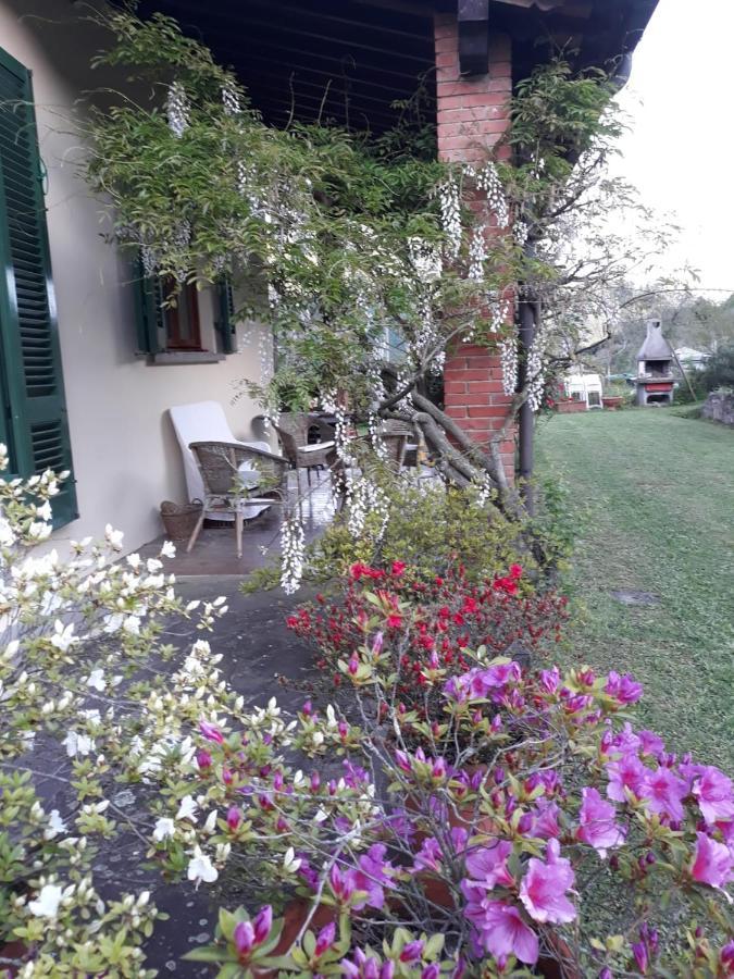 Gli Oleandri B&B Vaiano  Экстерьер фото